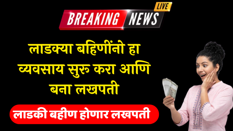 लाडकी बहीण होणार लखपती लाडक्या बहिणींनो हा व्यवसाय सुरू करा आणि बना लखपती